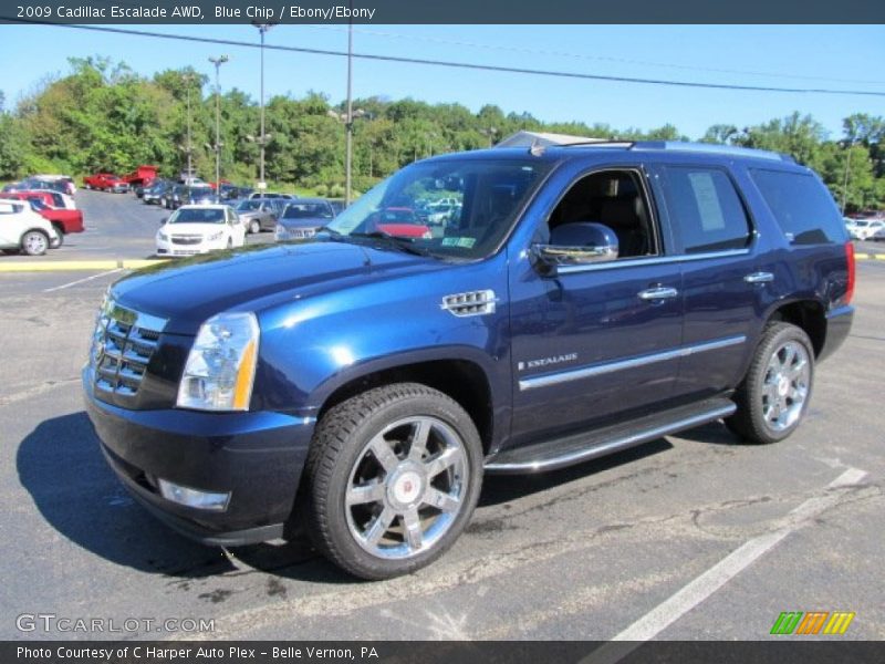 Blue Chip / Ebony/Ebony 2009 Cadillac Escalade AWD