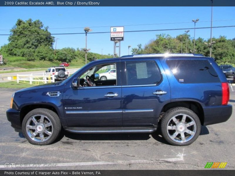 Blue Chip / Ebony/Ebony 2009 Cadillac Escalade AWD