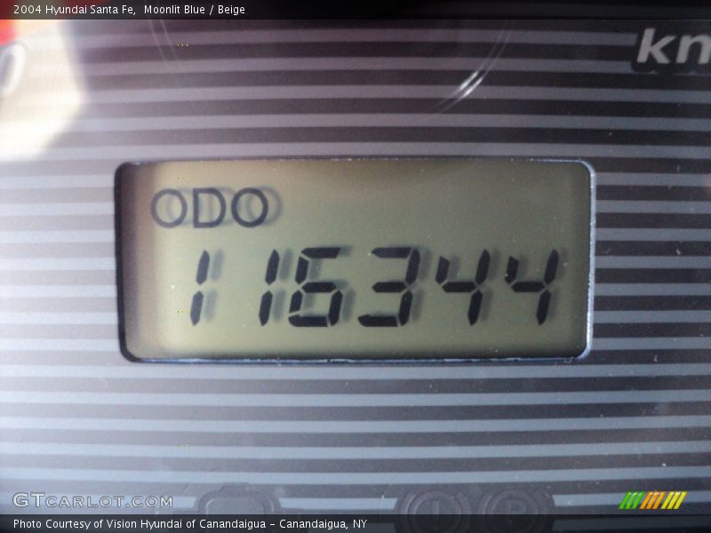 Moonlit Blue / Beige 2004 Hyundai Santa Fe