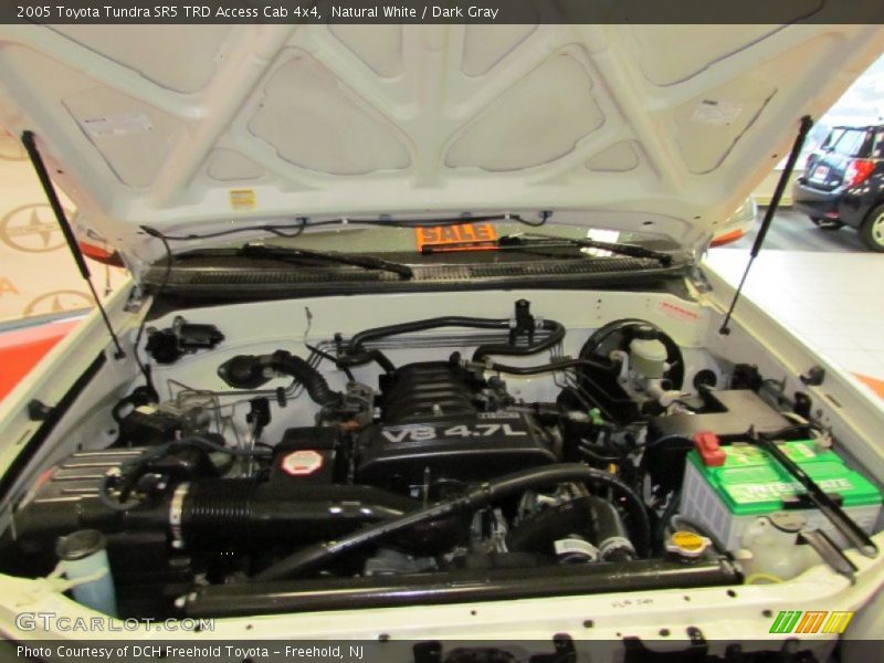 Natural White / Dark Gray 2005 Toyota Tundra SR5 TRD Access Cab 4x4