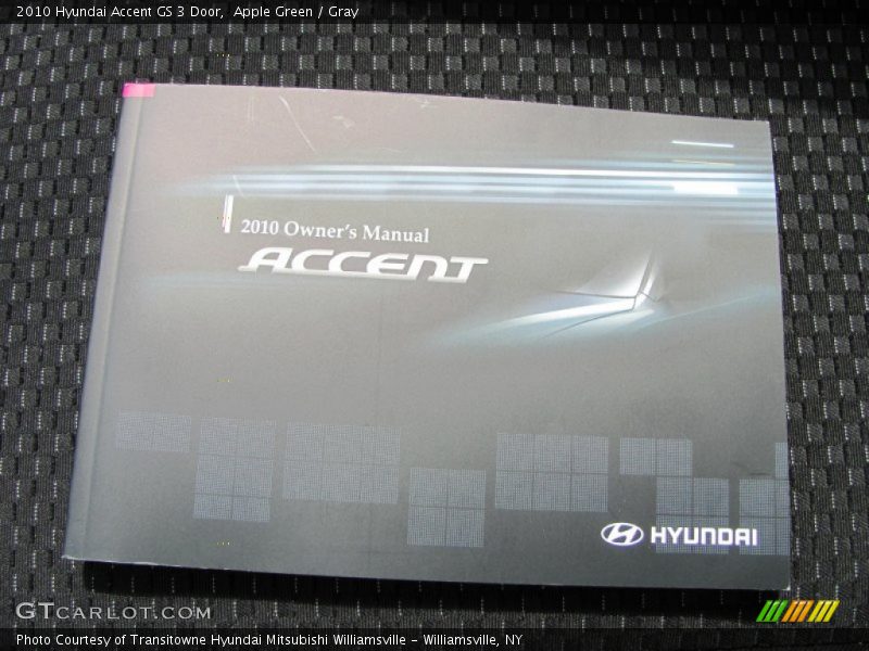 Apple Green / Gray 2010 Hyundai Accent GS 3 Door