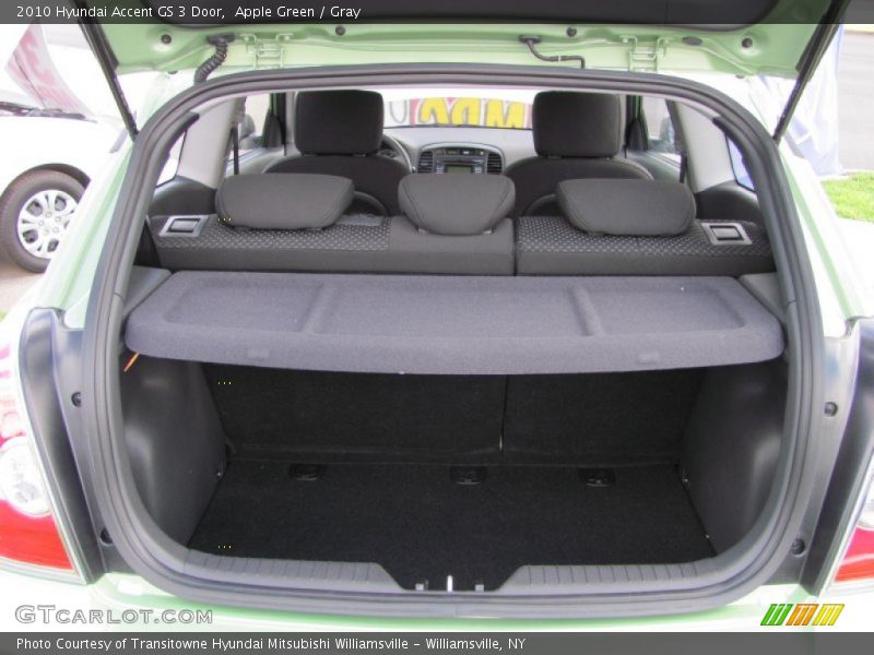 Apple Green / Gray 2010 Hyundai Accent GS 3 Door