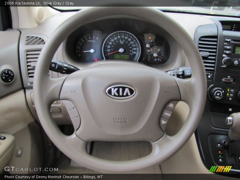 Olive Gray / Gray 2006 Kia Sedona LX