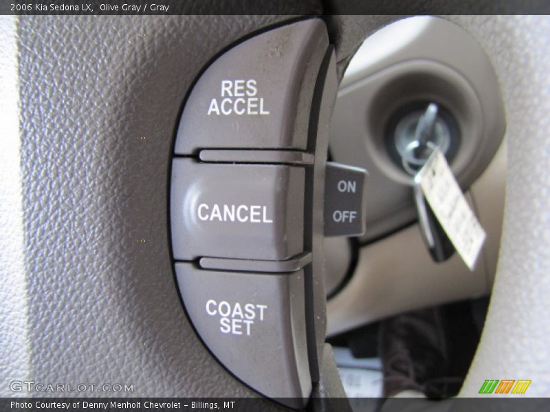 Olive Gray / Gray 2006 Kia Sedona LX