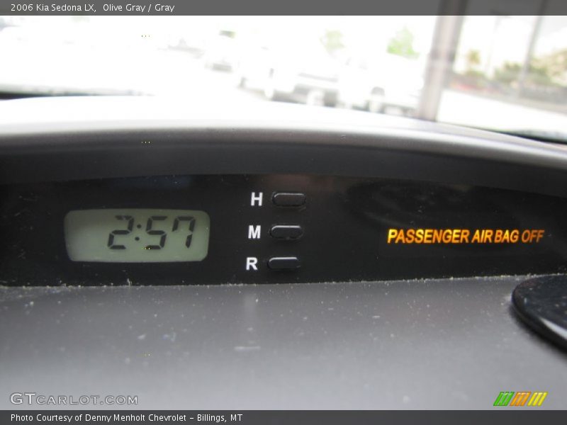 Olive Gray / Gray 2006 Kia Sedona LX
