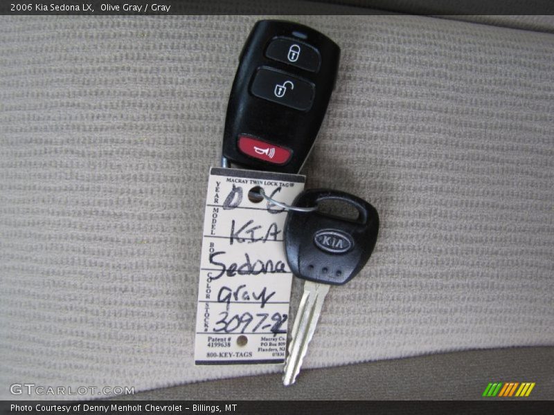 Olive Gray / Gray 2006 Kia Sedona LX