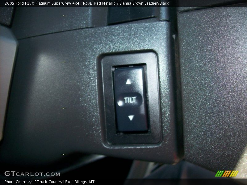 Royal Red Metallic / Sienna Brown Leather/Black 2009 Ford F150 Platinum SuperCrew 4x4