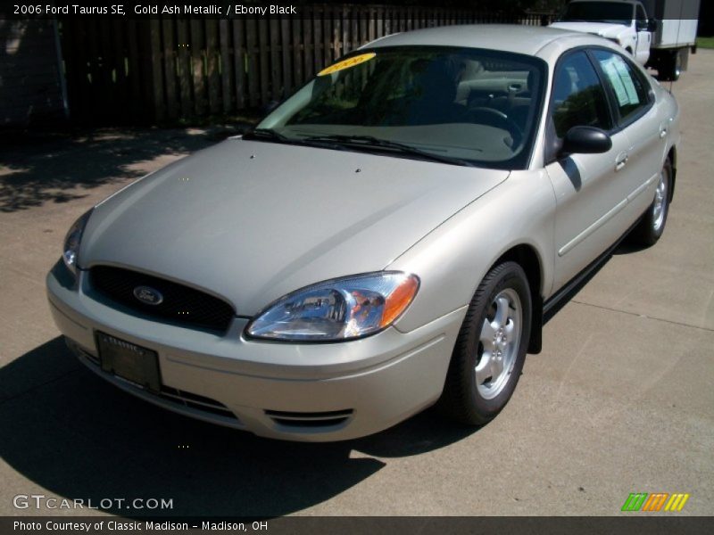 Gold Ash Metallic / Ebony Black 2006 Ford Taurus SE