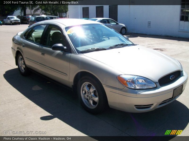 Gold Ash Metallic / Ebony Black 2006 Ford Taurus SE