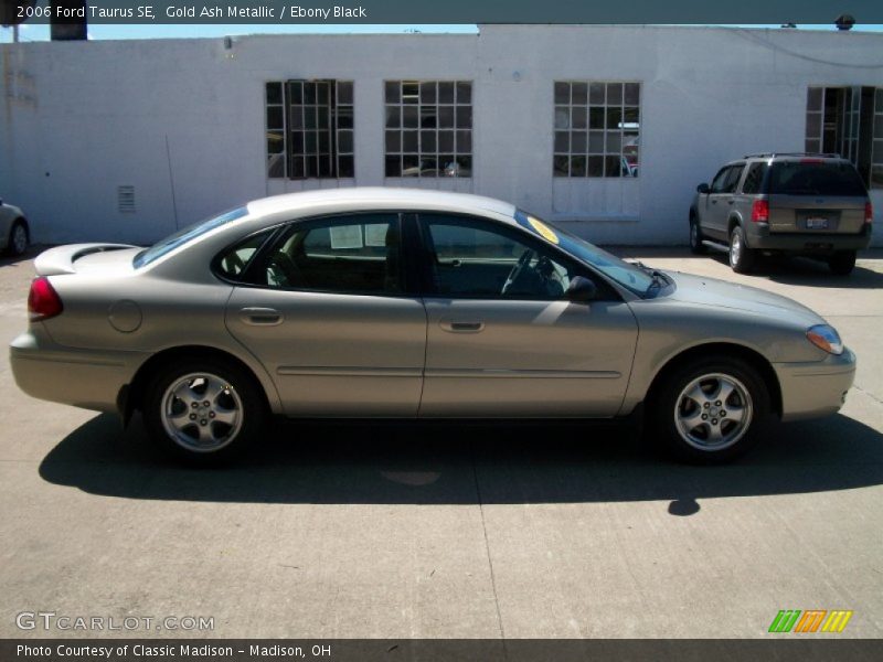 Gold Ash Metallic / Ebony Black 2006 Ford Taurus SE