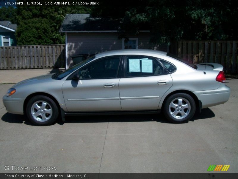 Gold Ash Metallic / Ebony Black 2006 Ford Taurus SE