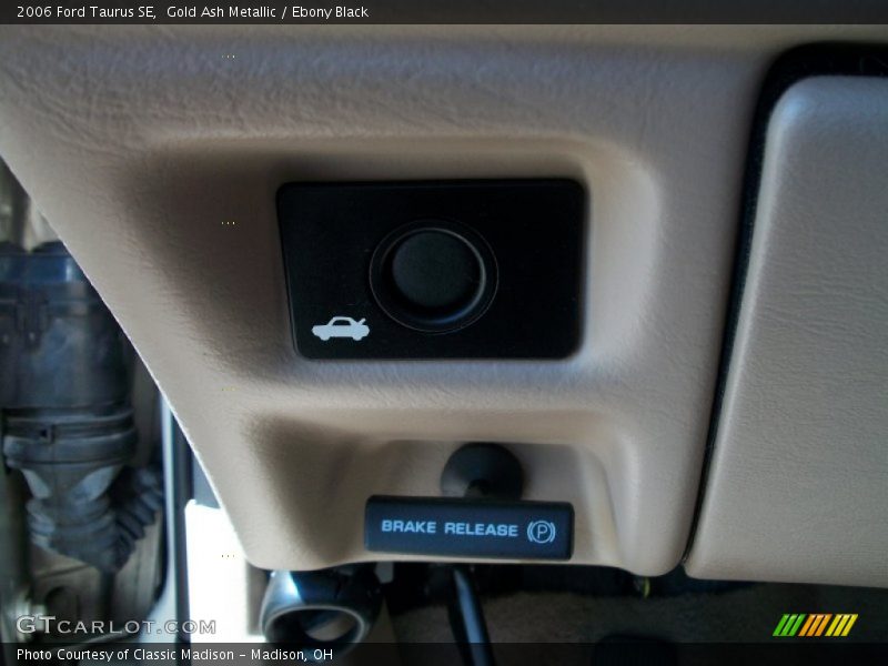 Gold Ash Metallic / Ebony Black 2006 Ford Taurus SE