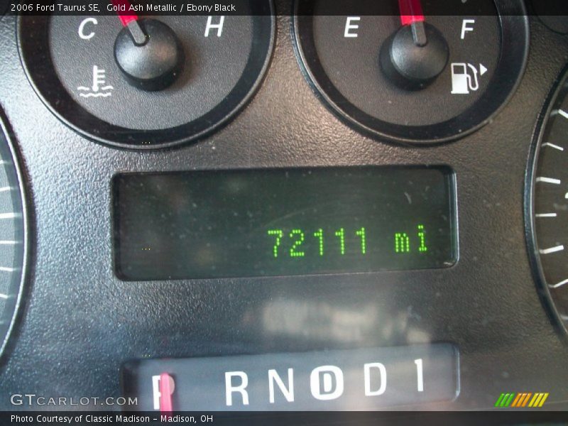 Gold Ash Metallic / Ebony Black 2006 Ford Taurus SE