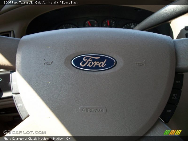 Gold Ash Metallic / Ebony Black 2006 Ford Taurus SE