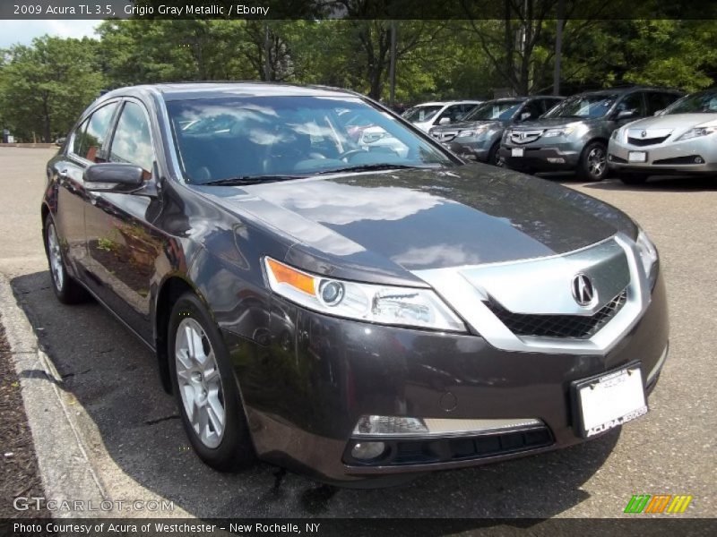 Grigio Gray Metallic / Ebony 2009 Acura TL 3.5