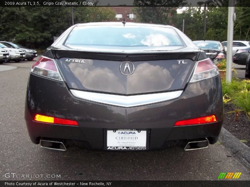 Grigio Gray Metallic / Ebony 2009 Acura TL 3.5