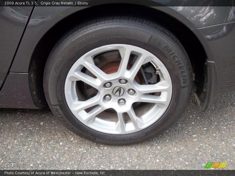 Grigio Gray Metallic / Ebony 2009 Acura TL 3.5
