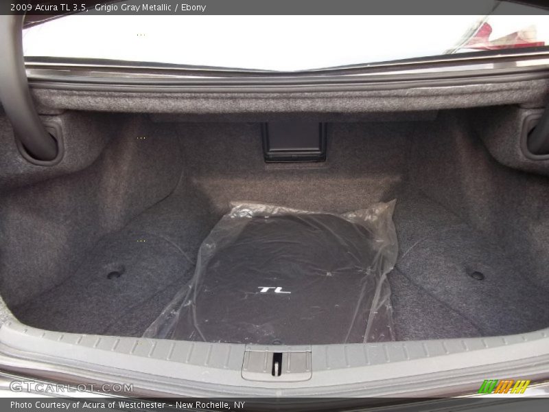 Grigio Gray Metallic / Ebony 2009 Acura TL 3.5