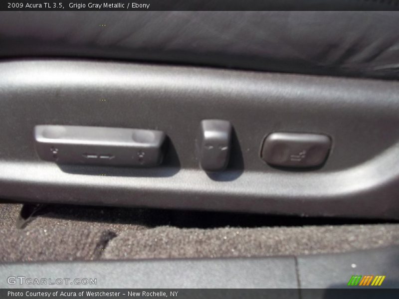 Grigio Gray Metallic / Ebony 2009 Acura TL 3.5