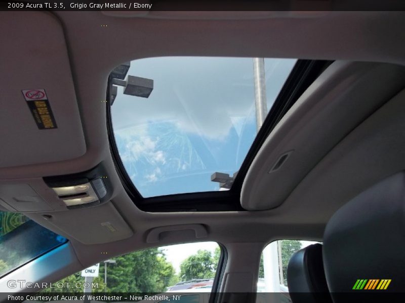 Grigio Gray Metallic / Ebony 2009 Acura TL 3.5