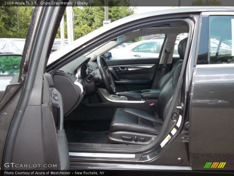 Grigio Gray Metallic / Ebony 2009 Acura TL 3.5