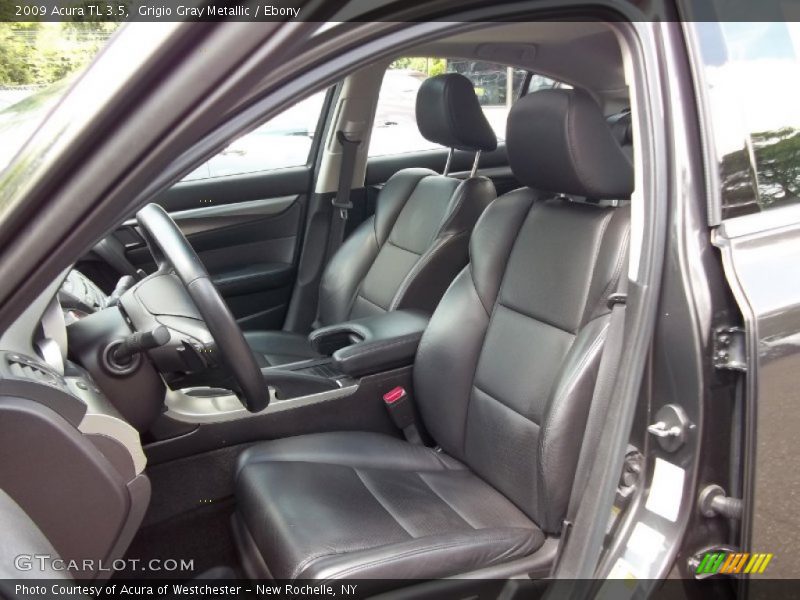 Grigio Gray Metallic / Ebony 2009 Acura TL 3.5