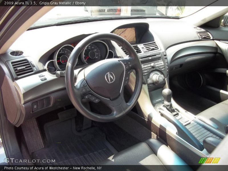 Grigio Gray Metallic / Ebony 2009 Acura TL 3.5