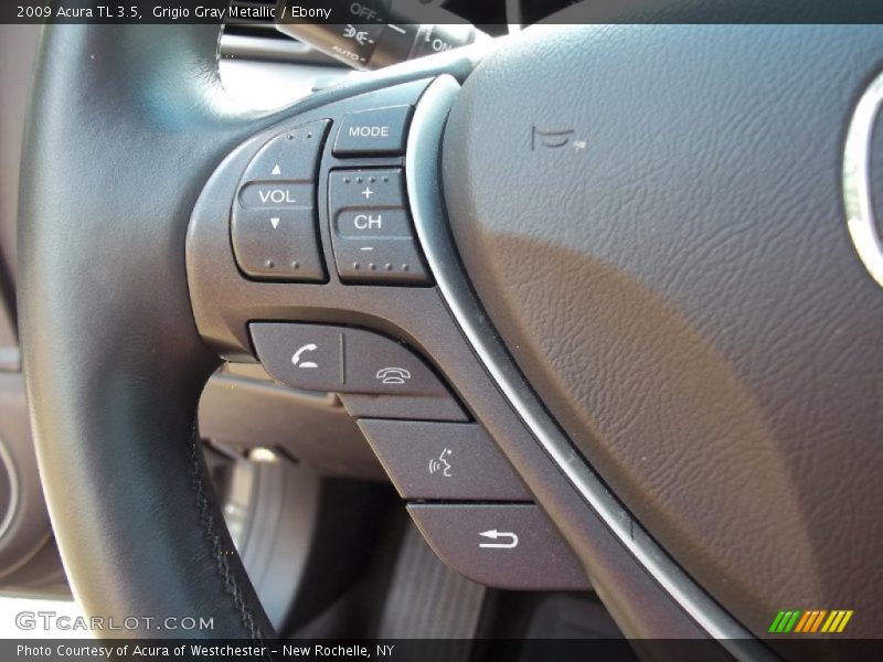 Grigio Gray Metallic / Ebony 2009 Acura TL 3.5