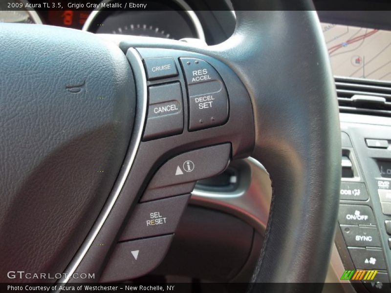 Grigio Gray Metallic / Ebony 2009 Acura TL 3.5