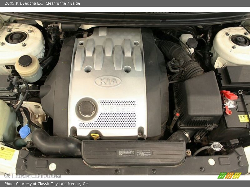 Clear White / Beige 2005 Kia Sedona EX