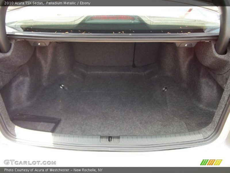 Palladium Metallic / Ebony 2010 Acura TSX Sedan