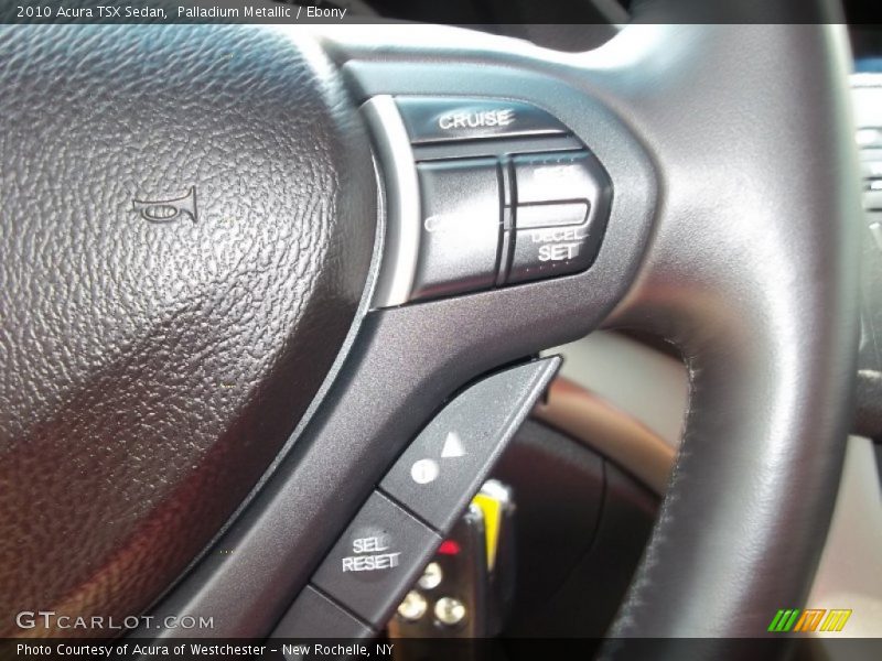 Palladium Metallic / Ebony 2010 Acura TSX Sedan