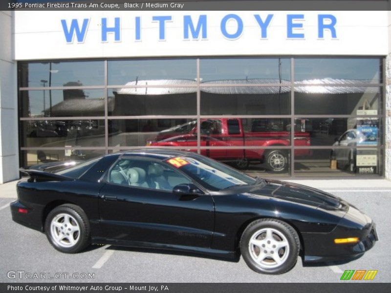 Black / Medium Gray 1995 Pontiac Firebird Trans Am Coupe