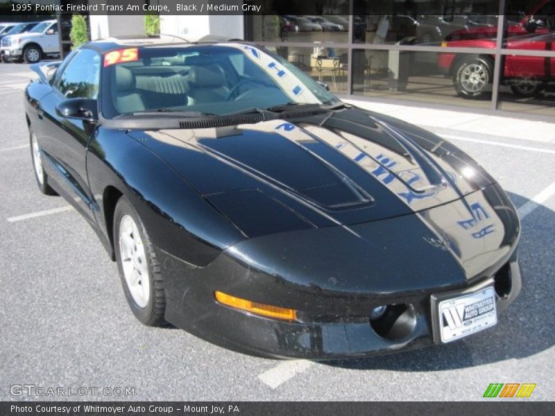 Black / Medium Gray 1995 Pontiac Firebird Trans Am Coupe