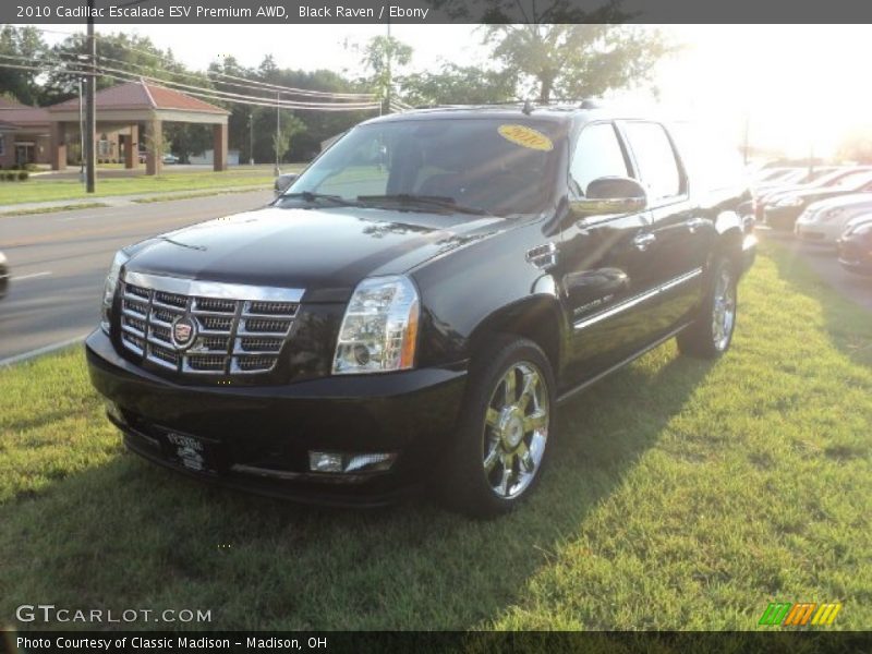Black Raven / Ebony 2010 Cadillac Escalade ESV Premium AWD