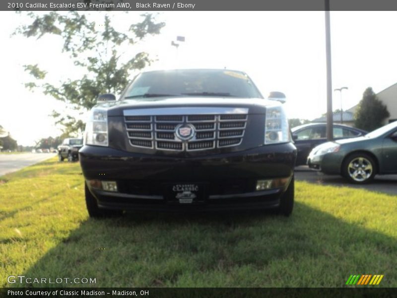 Black Raven / Ebony 2010 Cadillac Escalade ESV Premium AWD