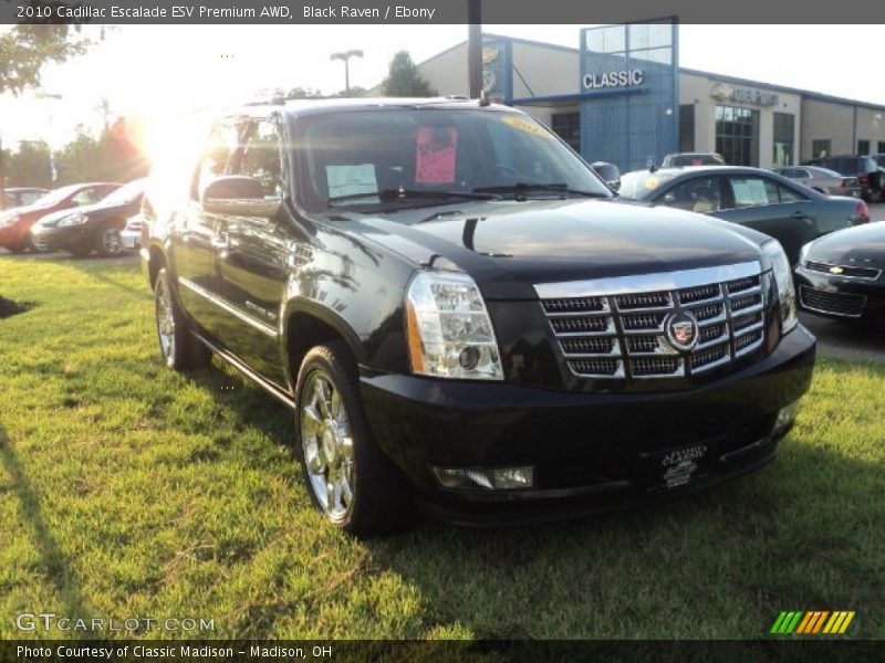 Black Raven / Ebony 2010 Cadillac Escalade ESV Premium AWD