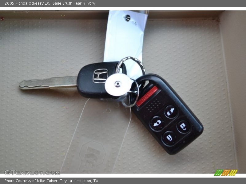 Sage Brush Pearl / Ivory 2005 Honda Odyssey EX