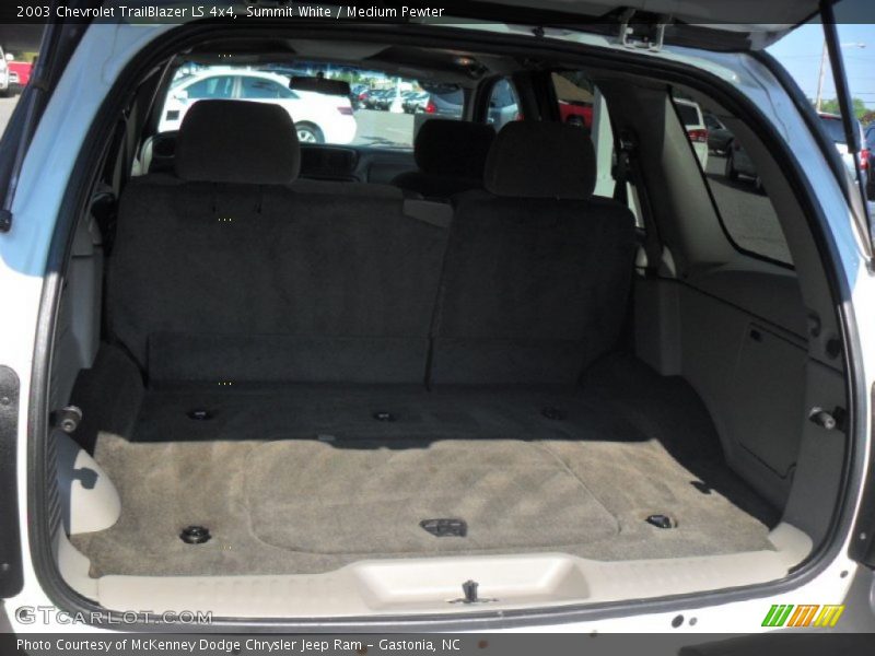 Summit White / Medium Pewter 2003 Chevrolet TrailBlazer LS 4x4