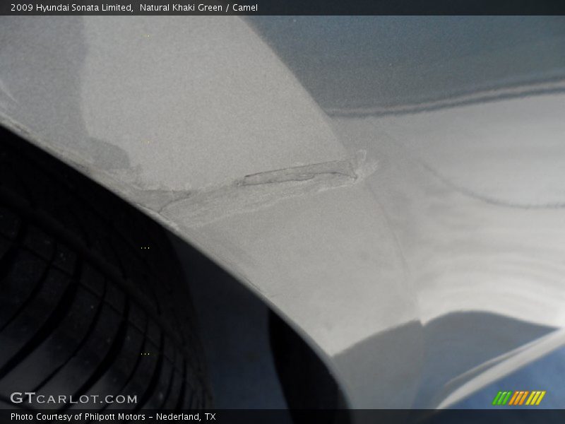 Natural Khaki Green / Camel 2009 Hyundai Sonata Limited