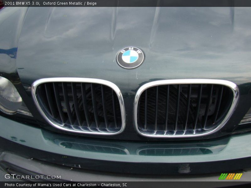 Oxford Green Metallic / Beige 2001 BMW X5 3.0i