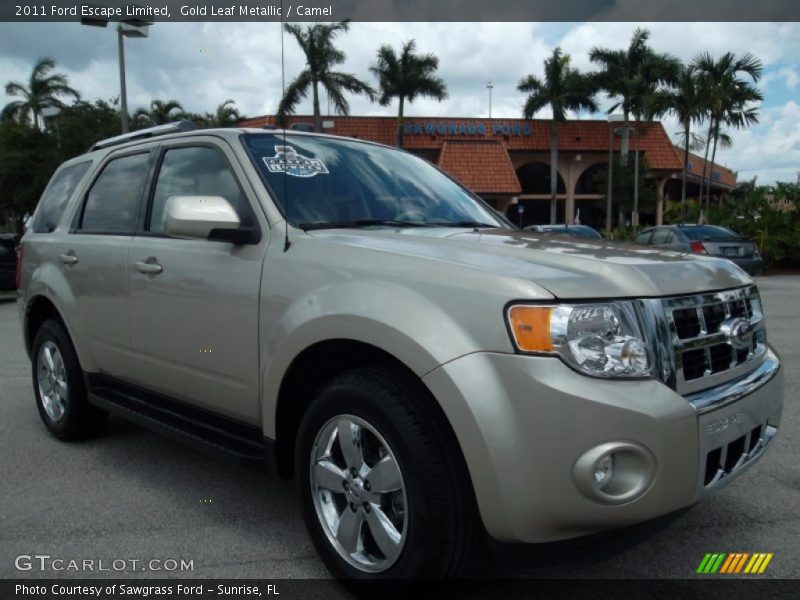 Gold Leaf Metallic / Camel 2011 Ford Escape Limited