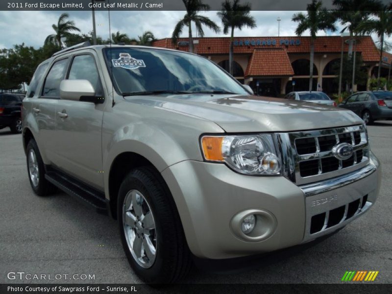 Gold Leaf Metallic / Camel 2011 Ford Escape Limited