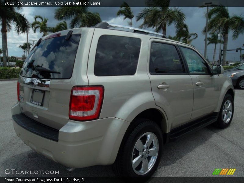 Gold Leaf Metallic / Camel 2011 Ford Escape Limited