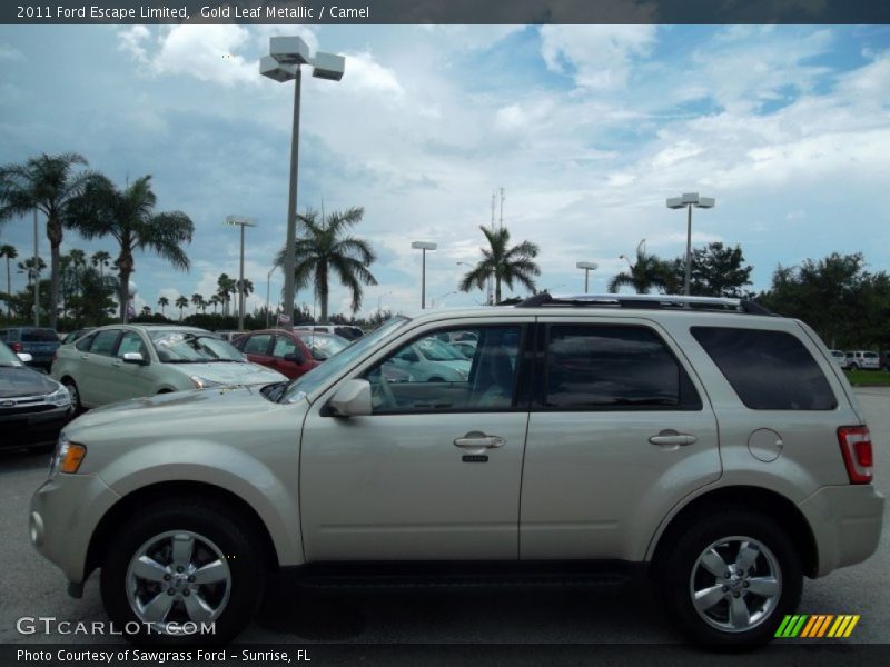 Gold Leaf Metallic / Camel 2011 Ford Escape Limited