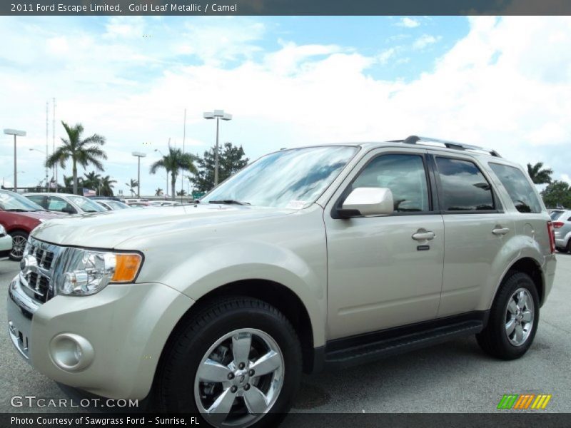 Gold Leaf Metallic / Camel 2011 Ford Escape Limited