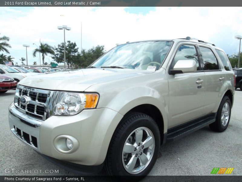 Gold Leaf Metallic / Camel 2011 Ford Escape Limited