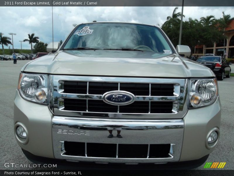 Gold Leaf Metallic / Camel 2011 Ford Escape Limited