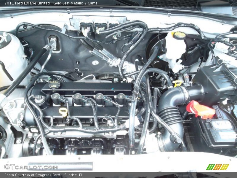 Gold Leaf Metallic / Camel 2011 Ford Escape Limited