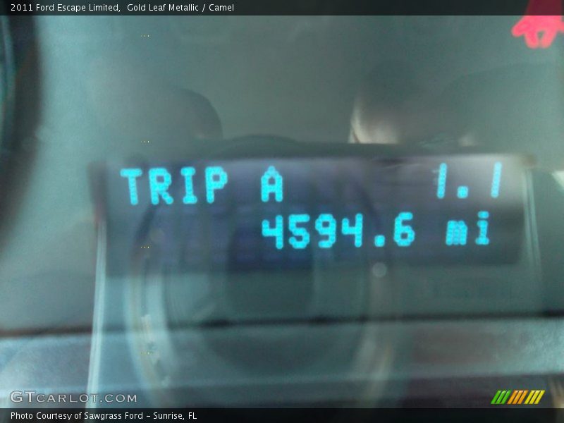 Gold Leaf Metallic / Camel 2011 Ford Escape Limited